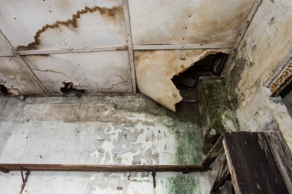 Water Damage Service in Lehigh Acres