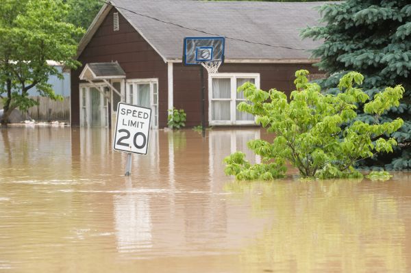 Cost of Storm Restoration Service in Lehigh Acres