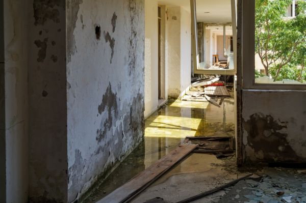 Water Removal Service in Lehigh Acres