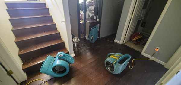 Water Damage Remediation in Lehigh Acres