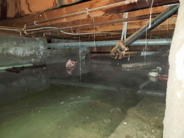 Cost of Water Mitigation Service in Lehigh Acres