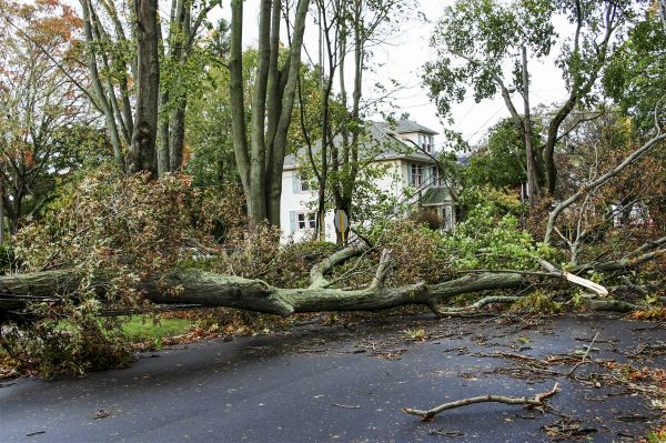 Cost of Tornado Damage Repair in Lehigh Acres