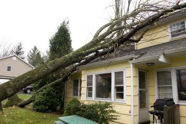 Hurricane Damage Repair in Lehigh Acres